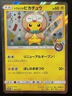 Ash's Pikachu 