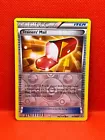 Trainers' Mail