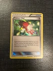 Trainers' Mail