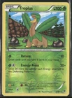 Tropius
