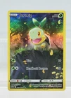 Turtwig