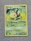 Turtwig