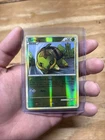 Turtwig