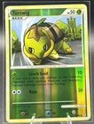 Turtwig