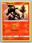 Salandit