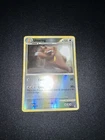 Ursaring