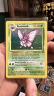 Venomoth