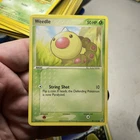 Weedle