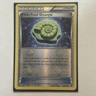 Helix Fossil Omanyte