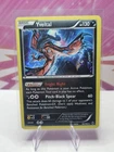 Yveltal