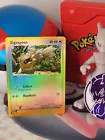 Zigzagoon