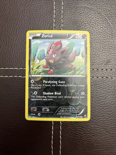 N's Zorua
