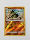 Zygarde