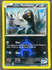 Team Aqua's Poochyena