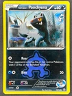 Team Aqua's Poochyena