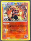 Team Magma's Camerupt