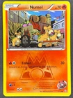 Team Magma's Numel