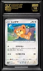 Teddiursa