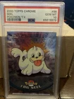 Seel