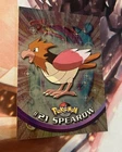 Spearow