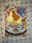 Pidgey