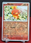Torchic