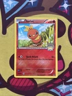 Torchic