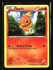 Torchic