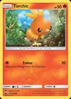 Torchic