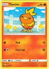 Torchic
