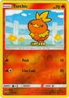 Torchic
