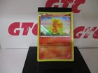 Torchic