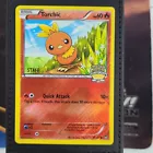 Torchic