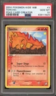 Torchic