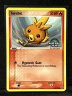 Torchic