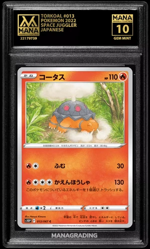 Torkoal