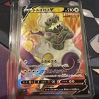 Tornadus V