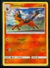 Torracat