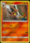 Torracat