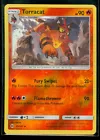 Torracat