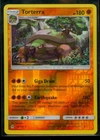 Torterra