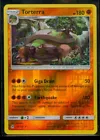 Torterra