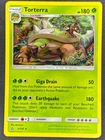 Torterra