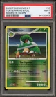 Torterra