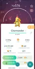 Charmander Pin Collection