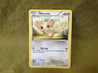 Minccino