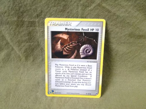 Mysterious Fossil