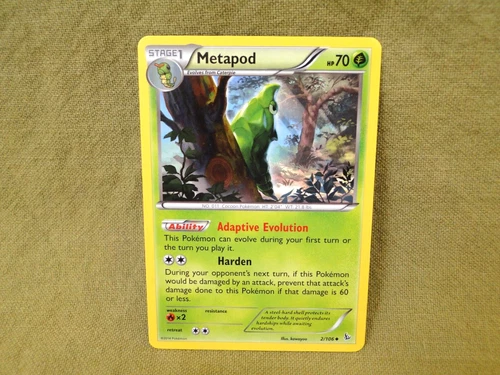 Metapod