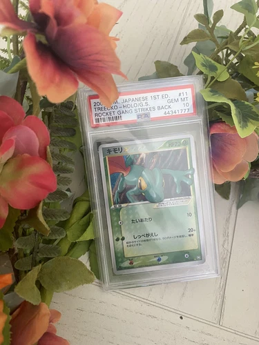 Treecko