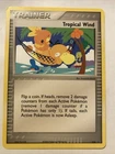 Tropical Wind